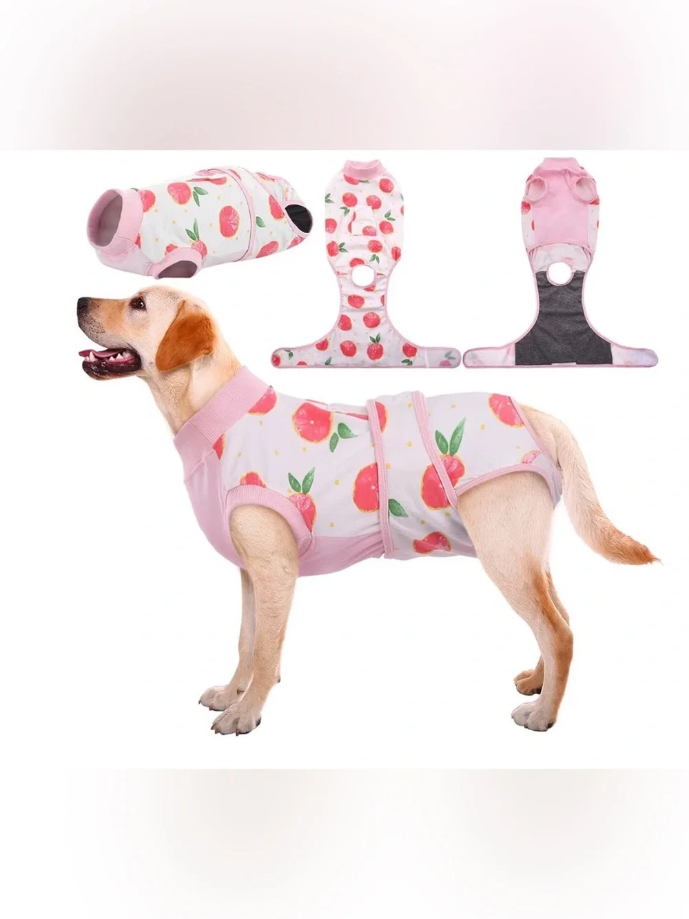 Dog Recovery Suit Post Surgery Pet OnesDog Recovery Suit Post Surgery Pet Onesie